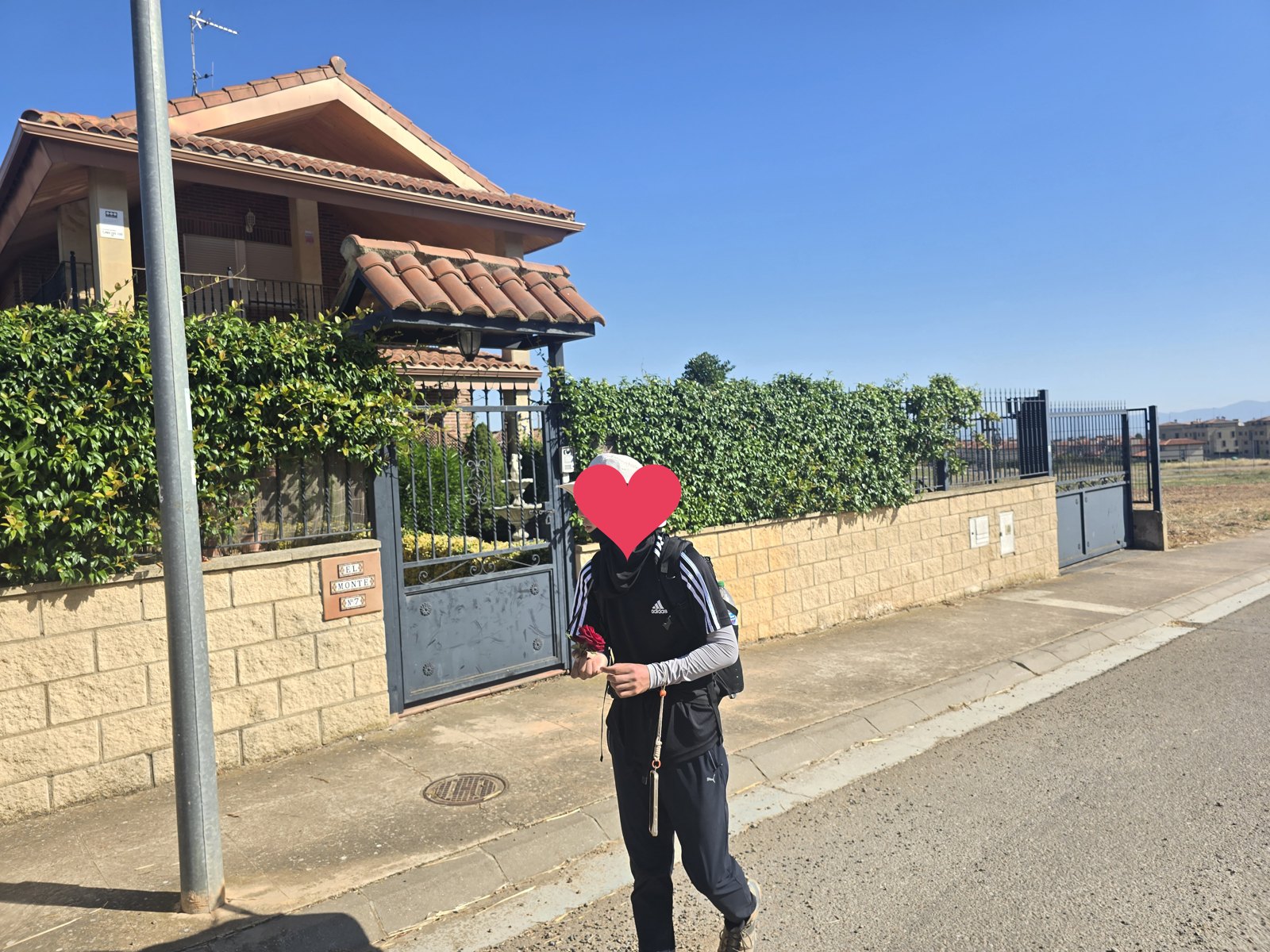 담쟁이를 올린 담과 철제 대문 앞을 배낭 멘 사람이 지나간다. 손에 붉은 장미 한 송이를 들고 있다