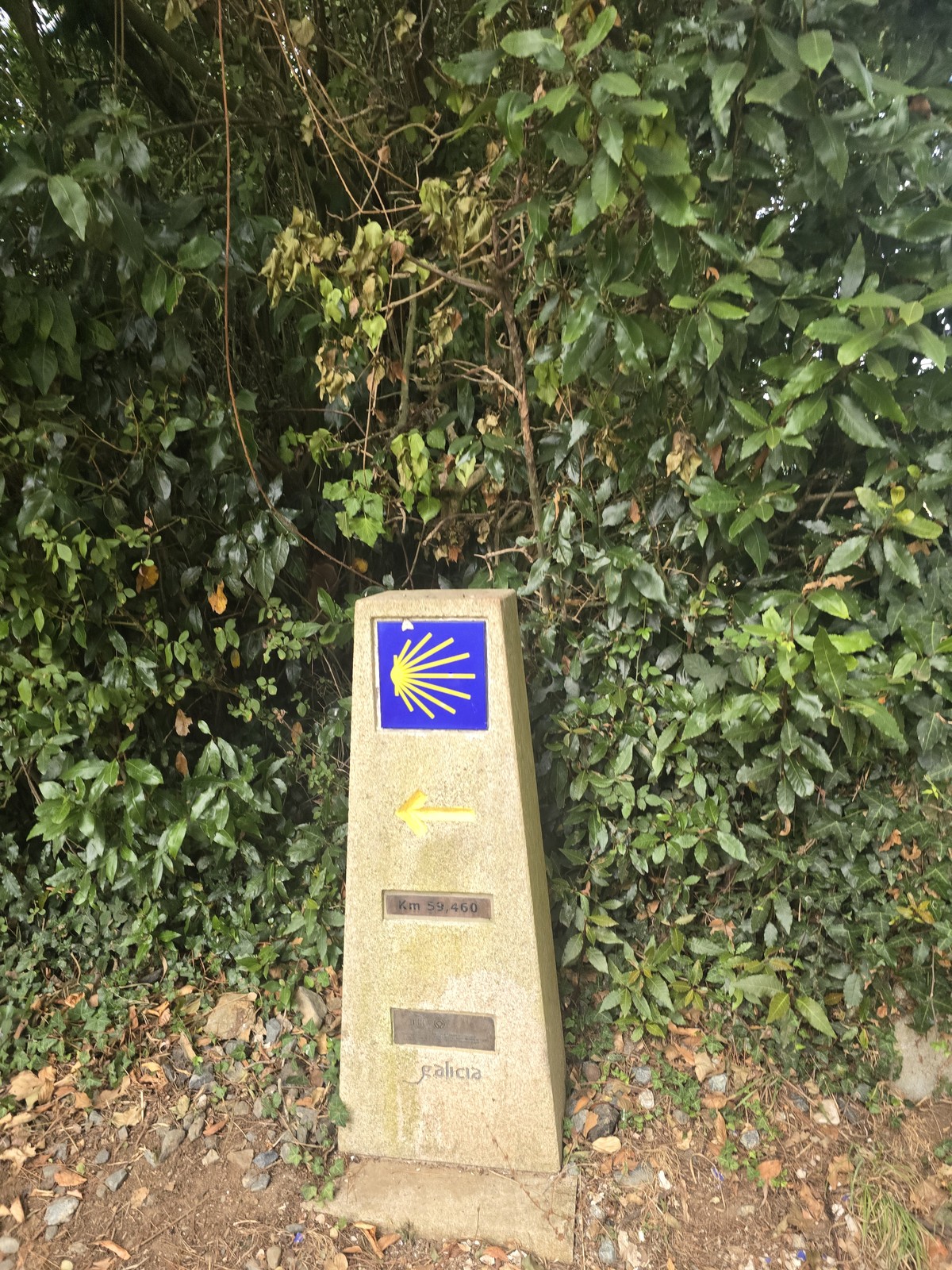 풀숲 앞에 선 화강암 이정표. 노란 조가비 표식과 화살표, 'Km 59,460', 'galicia' 글자가 새겨져 있다