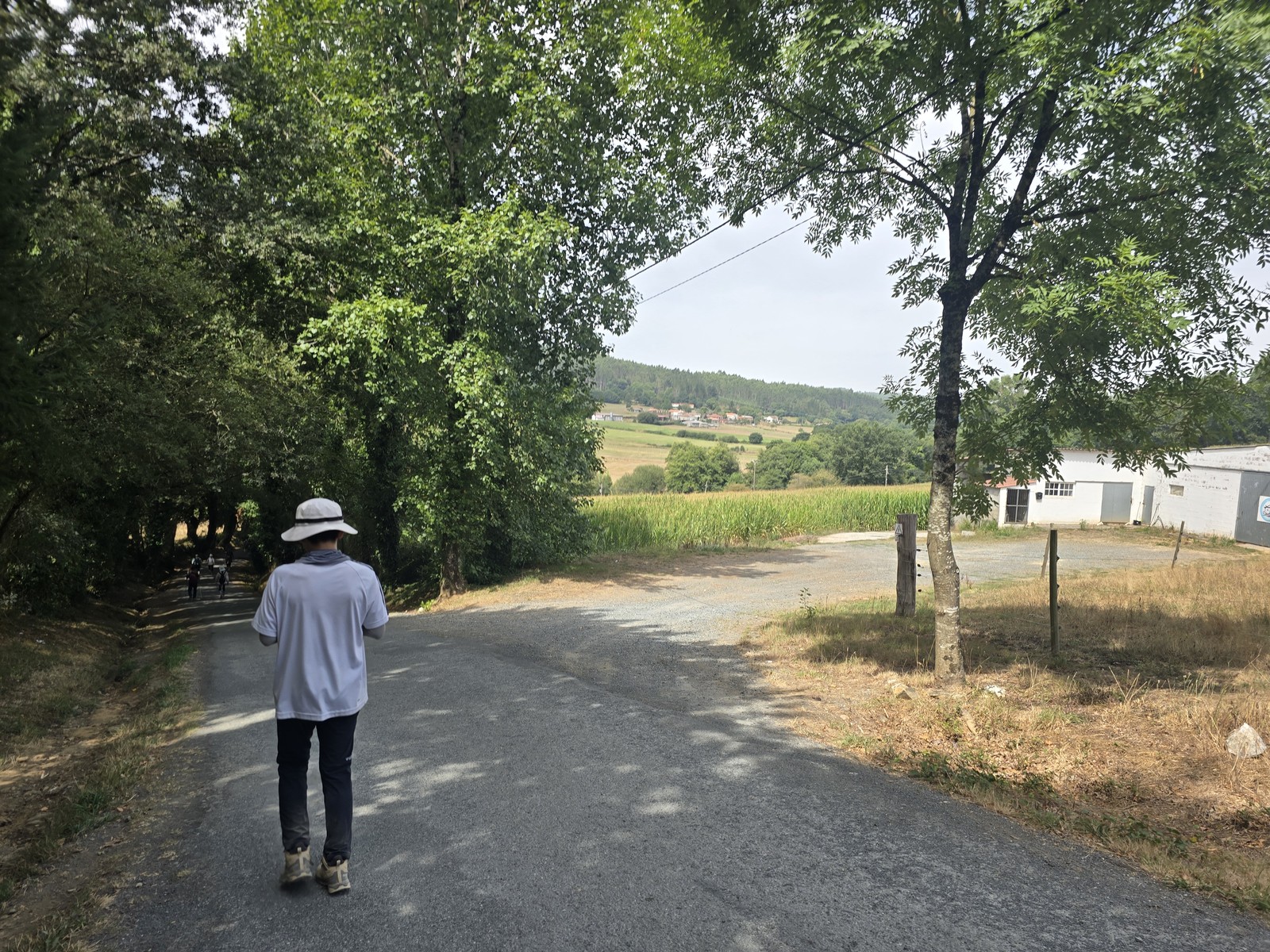 가로수 우거진 길을 배낭 멘 순례자가 걸어가고, 오른쪽으로 옥수수밭과 마을이 내려다보인다