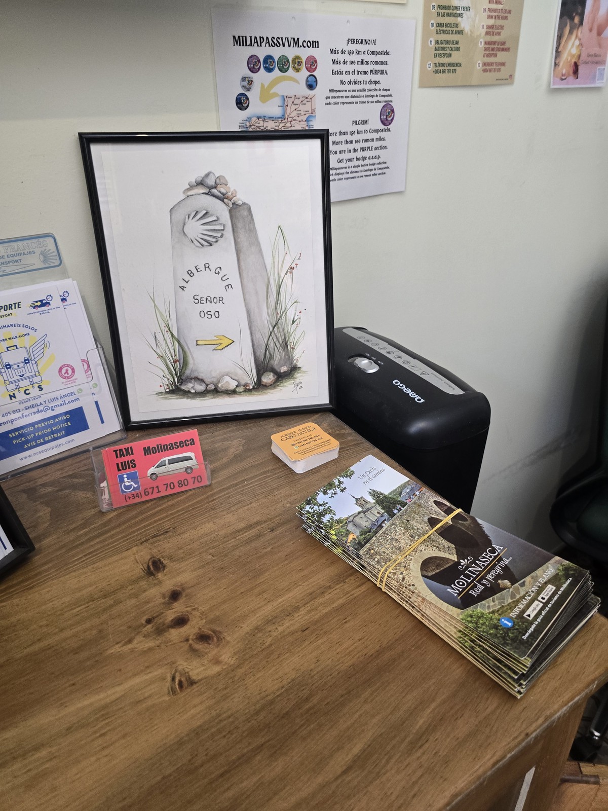 알베르게 접수대 위에 '알베르게 세뇨르 오소' 수채화 액자와 몰리나세카 택시 명함, 마을 안내 팸플릿이 놓여 있다