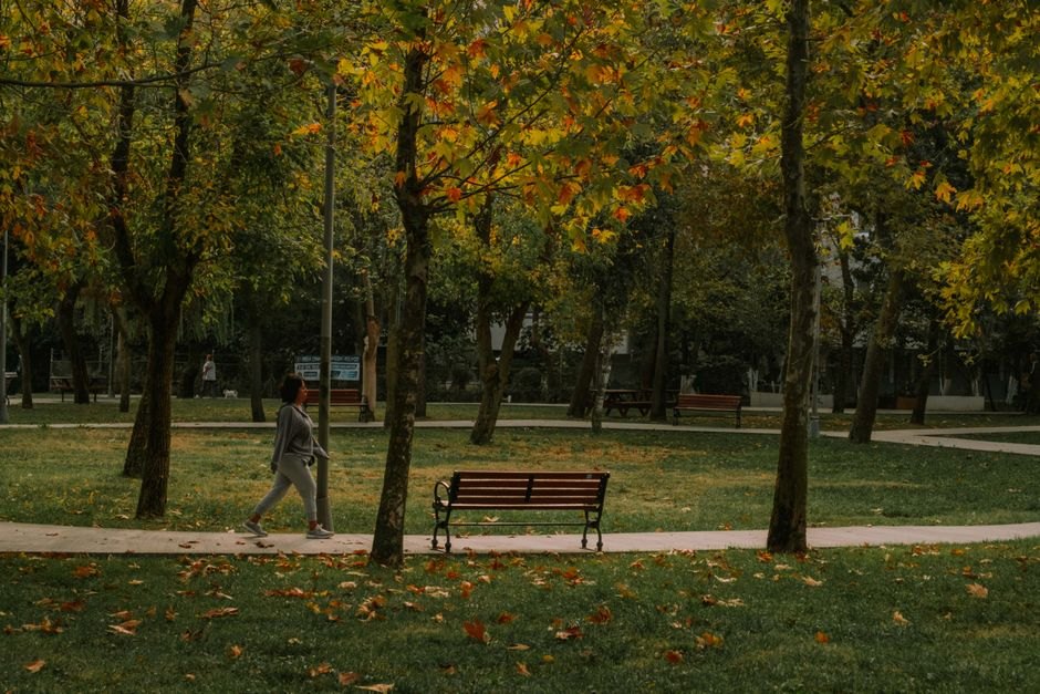 공원 길을 천천히 걷는 여성의 뒷모습