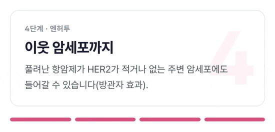 ADC의 작동 순서를 네 장면으로 넘기며 보여 주는 단계 카드. 1단계 항체가 암세포 표면의 HER2나 Trop-2에 붙고, 2단계 약 전체가 세포 안으로 들어가고, 3단계 연결 고리에서 항암제가 풀려 세포를 죽이며, 4단계 엔허투의 경우 풀린 항암제가 HER2가 적은 이웃 암세포에도 들어간다