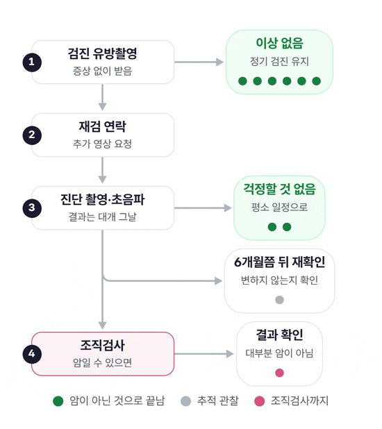 검진 유방촬영에서 시작해 이상 없음, 재검 연락, 진단 촬영·초음파로 이어지는 흐름도. 진단 촬영 뒤에는 걱정할 것 없음, 6개월쯤 뒤 재확인, 조직검사의 세 갈래로 나뉘고, 점이 각 길을 따라 이동해 끝 상자에 쌓인다