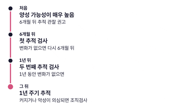 세로 타임라인에 처음 판정, 6개월 뒤 첫 추적 검사, 1년 뒤 두 번째 추적 검사, 그 뒤 1년 주기 추적의 네 단계가 차례로 켜지고, 마지막 단계에 변화가 생기면 조직검사를 검토한다는 설명이 강조된다