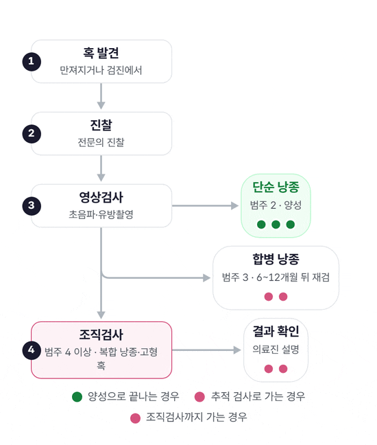 혹 발견에서 진찰, 영상검사로 이어진 뒤 세 갈래로 나뉘는 흐름도. 단순 낭종은 범주 2(양성), 합병 낭종은 범주 3으로 6~12개월 뒤 재검, 복합 낭종이나 고형 혹은 범주 4 이상으로 조직검사와 결과 확인으로 이어지며, 세 가지 색의 점이 각 갈래를 따라간다