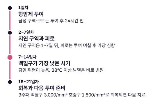 항암 1일차부터 21일차까지 네 단계가 차례로 켜지는 타임라인. 1일차는 24시간 안의 급성 구역, 2~7일차는 지연 구역과 피로, 7~14일차는 백혈구가 가장 낮은 시기로 강조되고, 15~21일차는 백혈구 3,000/mm³·호중구 1,500/mm³ 회복과 다음 투여 준비로 표시된다