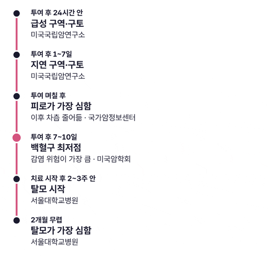 항암 투여일부터 차례로 켜지는 타임라인. 투여 후 24시간 안 급성 구역, 1~7일 지연 구역, 며칠 뒤 피로가 가장 심함, 7~10일 백혈구 최저점과 감염 위험, 2~3주 탈모 시작, 2개월 무렵 탈모가 가장 심함 순서로 표시된다