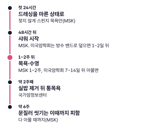 시술 당일부터 약 6주까지 씻기 단계가 차례로 켜지는 타임라인. 첫 24시간 드레싱을 마른 상태로 유지, 48시간 뒤 샤워, 1~2주 뒤 목욕과 수영, 약 2주째 실밥 제거 뒤 통목욕, 약 6주까지 문질러 씻기를 피하는 순서로 이어지고 단계마다 출처 기관이 적혀 있다