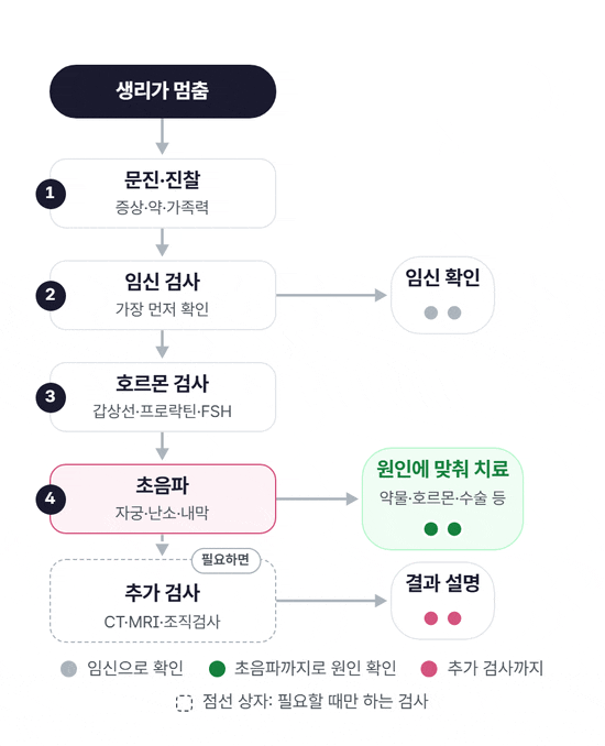 생리가 멈춘 뒤 문진·진찰, 임신 검사, 호르몬 검사, 초음파로 이어지는 세로 흐름도. 점들이 길을 따라 내려가며 일부는 임신 검사에서 임신 확인으로, 일부는 초음파에서 원인 확인으로, 일부는 점선 상자인 추가 검사를 거쳐 결과 설명으로 모인다