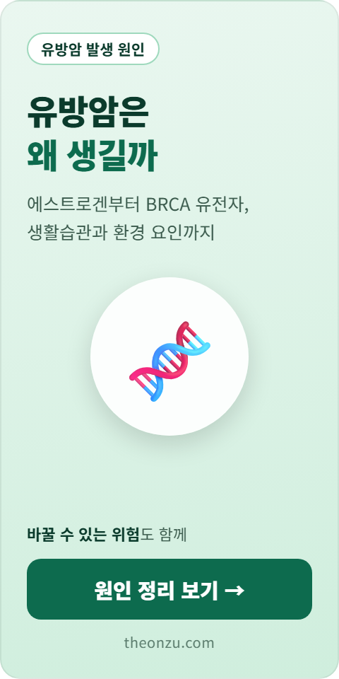 유방암 발생 원인