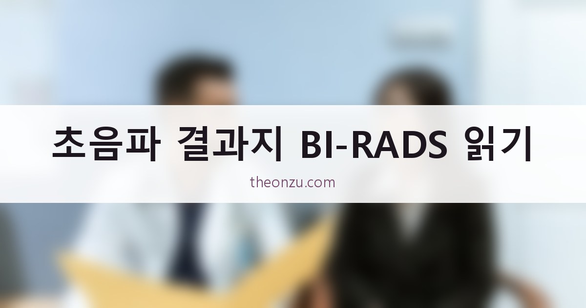초음파 결과지 BI-RADS 읽기