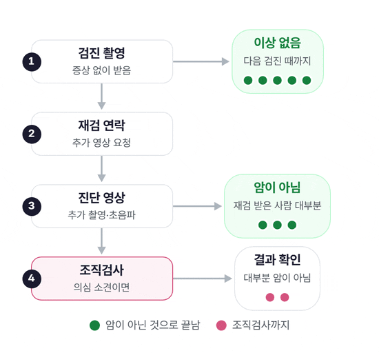 검진 촬영, 재검 연락, 진단 영상, 조직검사 순서로 점이 이동하는 도식. 초록 점은 검진에서 이상 없음으로 끝나거나 재검 뒤 암이 아닌 것으로 확인되어 끝나는 경우이고, 분홍 점은 조직검사와 결과 확인까지 가는 경우다. 대부분의 점이 초록색으로 중간에 끝난다