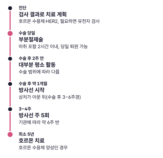 진단, 수술 당일 퇴원, 수술 후 2주 이내 평소 활동, 수술 후 약 1개월 방사선 시작, 주 5회 3~4주 방사선, 최소 5년의 호르몬 치료까지 여섯 단계가 차례로 켜지는 타임라인