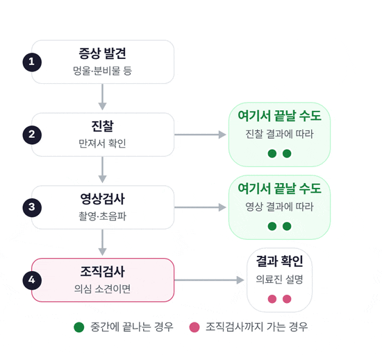 증상 발견, 진찰, 영상검사, 조직검사 순서로 점이 이동하는 도식. 초록 점은 진찰이나 영상검사 단계에서 끝나는 경우이고, 분홍 점은 조직검사를 거쳐 결과 확인까지 이어지는 경우다