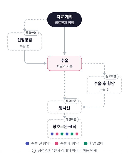 치료 계획에서 시작해 수술을 가운데 두고 선행항암, 수술 후 항암, 방사선, 항호르몬·표적 치료로 이어지는 도식. 수술 전 항암을 하는 길, 수술 후 항암을 하는 길, 항암 없이 가는 길을 세 가지 색의 점이 따라가며, 필요할 때만 하는 단계는 점선 상자로 표시된다