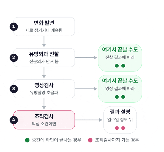 변화 발견에서 시작해 유방외과 진찰, 유방촬영·초음파 검사, 조직검사로 이어지는 흐름도. 점들이 길을 따라 내려가다 일부는 진찰 단계나 영상 단계에서 끝나는 상자로, 일부는 조직검사를 거쳐 결과 설명 상자로 들어간다